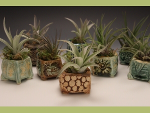 Pinch Pots with Airplants