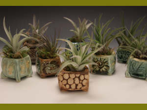 Pinch Pots with Airplants